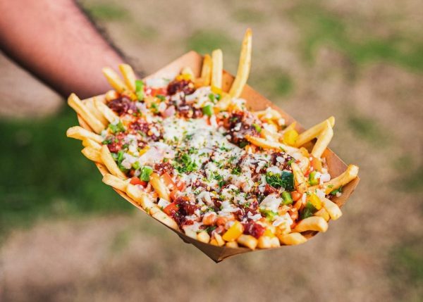 loaded fries